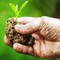 AGRICOLTURA: SEMINARIO STRATEGIE DI COOPERAZIONE E FILIERE BIOLOGICHE