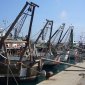 PESCA: VIA LIBERA AGLI SGRAVI CONTRIBUTIVI DOPO LA MOBILITAZIONE DELLE COOPERATIVE