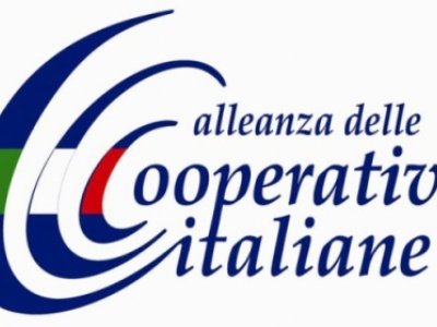 FALSE COOPERATIVE: ALLEANZA COOPERATIVE, NOI PARTE CIVILE CONTRO CHI DANNEGGIA STATO E COOPERAZIONE