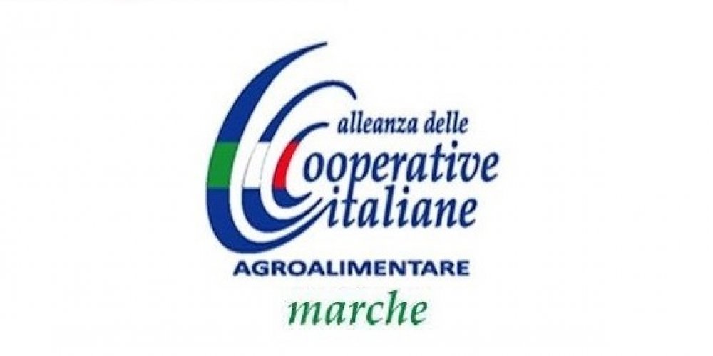 ALLEANZA COOPERATIVE AGROALIMENTARE MARCHE: LA FILIERA AGROALIMENTARE INVESTITA DALLA CRISI DEI PREZZI