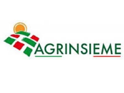 AGRINSIEME: CONFRONTO SU RETI DI RAPPRESENTANZA IMPRESE