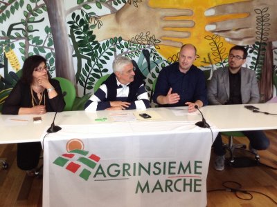 AGRINSIEME MARCHE: PRIMA DELLA GIUNTA REGIONALE SERVE UN CONFRONTO CON LE CATEGORIE