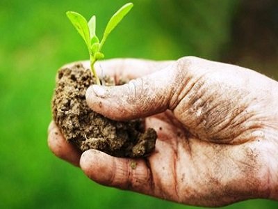 AGRICOLTURA: SEMINARIO STRATEGIE DI COOPERAZIONE E FILIERE BIOLOGICHE