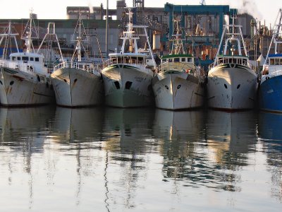 PESCA: ANCONA, DEBUTTA IL FLAG MARCHE CENTRO