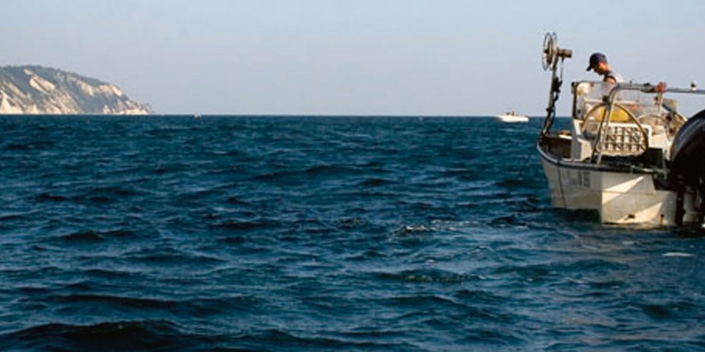 CUORECOOPERATIVO: COOPERATIVA PORTONOVO PESCA, NEI MOSCIOLI IL PROFUMO DEL CONERO