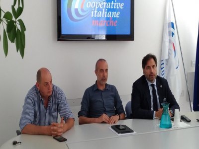 ALLEANZA COOPERATIVE MARCHE: STRONATI NUOVO PRESIDENTE