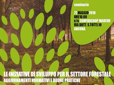 SEMINARIO SU INIZIATIVE DI SVILUPPO PER IL SETTORE FORESTALE