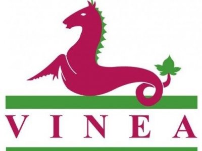 VINEA: INCONTRO SULLO SVILUPPO DEL SETTORE AGROALIMENTARE AD OFFIDA